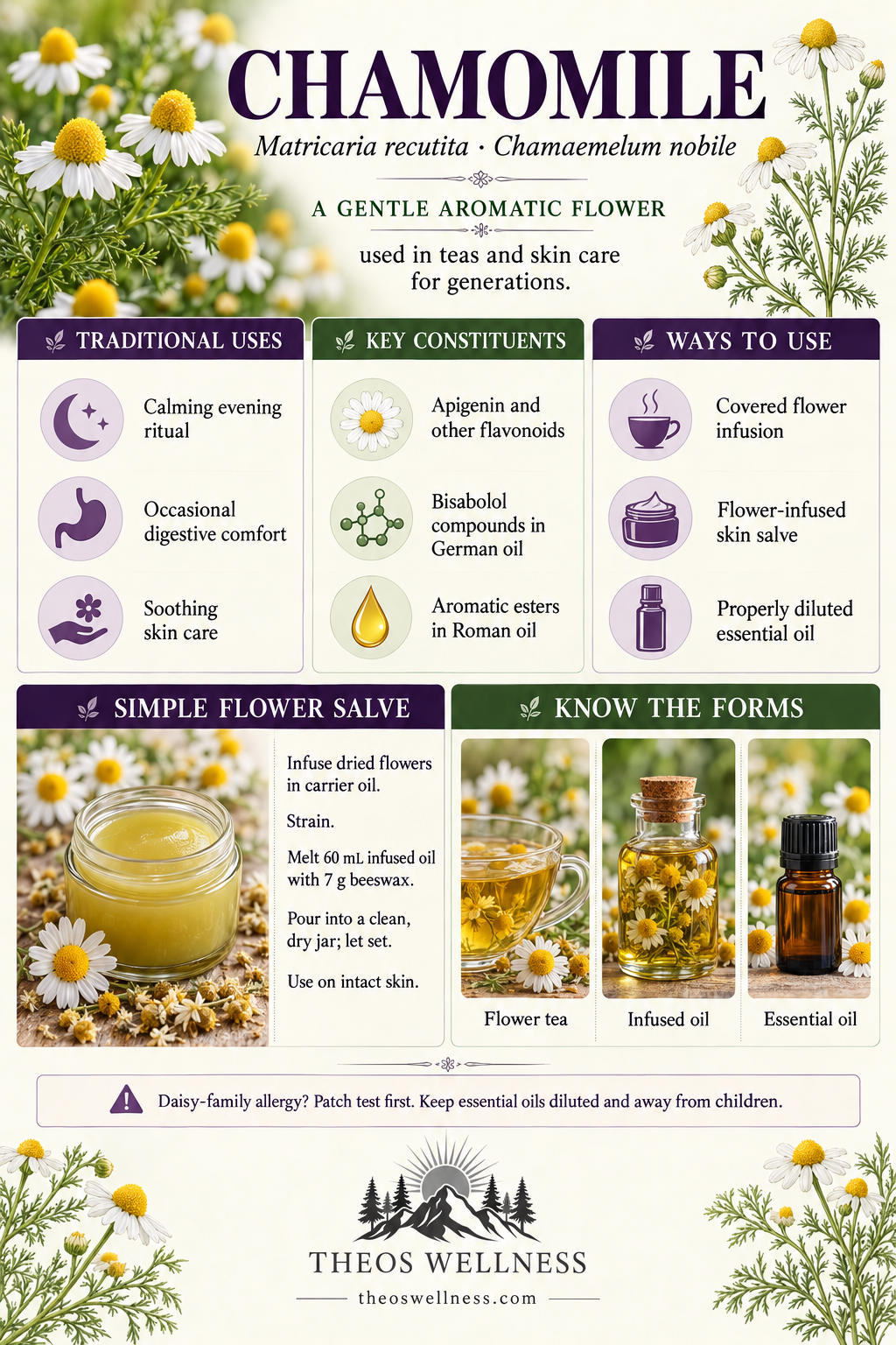 Chamomile Chamomile